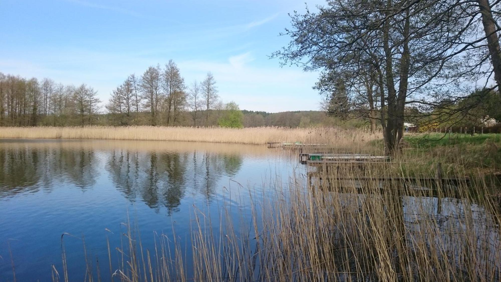 Idyll Im Land Der 1000 Seen Liessow  外观 照片